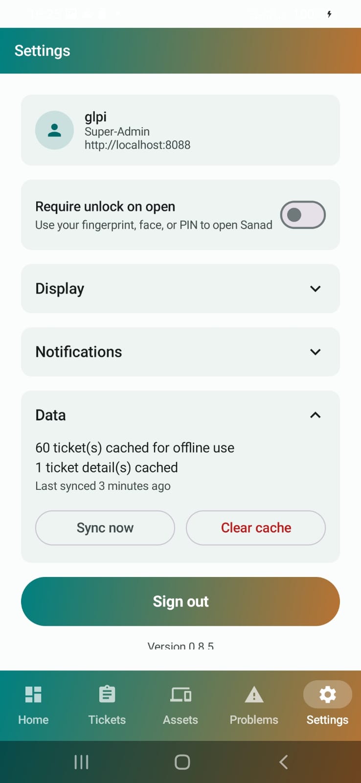 Offline cache status in Settings